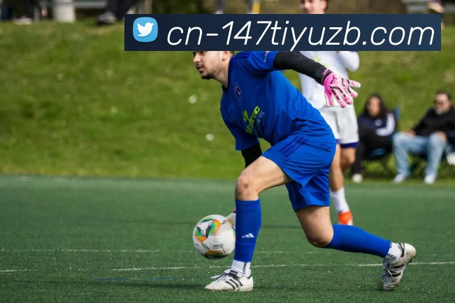 147体育直播平台生态图